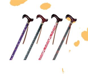 光星調整手杖-玩美繽紛-大花墊2010AQ